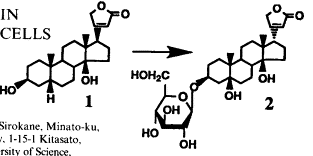 Image result for Strophanthus amboensis