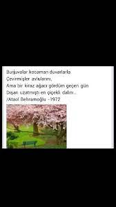 burjuvalar kocaman duvarlarla cevirmisler avlularini ama bir kiraz agaci gordum gecen gun disari uzatmisti en cicekli dalini ataol be guzel soz psikoloji gece