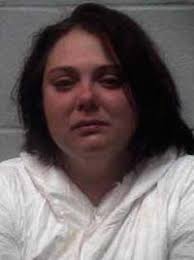 Two domestic disputes turn deadly in Henry