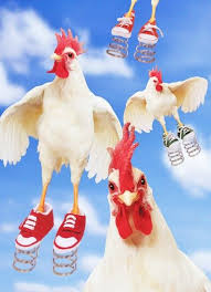 Spring Chickens Lmao Chicken Humor Funny Chicken Pictures Chicken Pictures