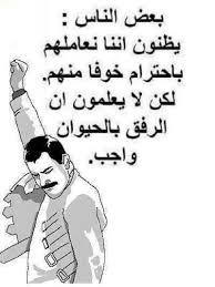 الرفق بالحيوان واجب Sarcastic Words Funny Quotes Funny Arabic Quotes