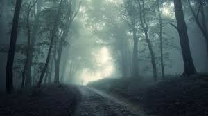 Dark Forest Wallpapers 1920x1080 Full Hd 1080p Desktop Backgrounds We present you our collection of desktop wallpaper theme: dark forest wallpapers 1920x1080 full