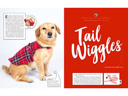 10 humane way, hilton head island, south carolina 29926. Hilton Head Magazines Ch2 Cb2 Tail Wiggles Where Pets Are At The Heart Of It All