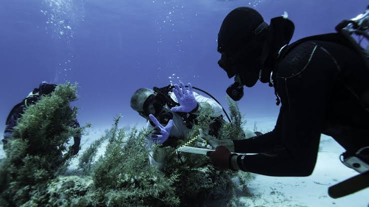 Los increíbles tesoros encontrados en un galeón español hundido cerca de  Bahamas hace 350 años - BBC News Mundo