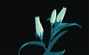 Discover & share this nature gif with everyone you know. Cat Farts Blooming Fleurs Gif Find On Gifer