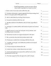 Animal cell organelle functions quiz. Cell Organelles Functions Quiz By Cultivating Dahls Tpt