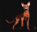 The Abyssinian Homepage - Color Inheritence Chart for ...