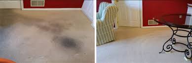 There are many reasons why the majority of our customers are repeat buyers who regularly service their vehicles with us. Carpet Cleaning Harrisburg Pa Complete Floor Care 717 657 6200