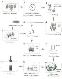 the flow chart shows the production of red wine testbig com