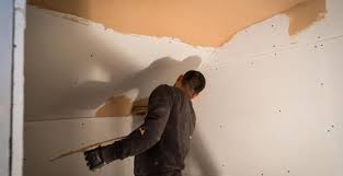 Boston Plastering Provide Plasteringservices In The Boston Area And Central Ma And Could Expand Our Services Throughout Plaster Exterior Paint Veneer Plaster
