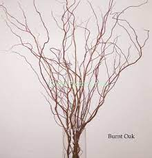 Curly Willow 5 6 Ft Bunch Of 8 10 Stems 4 Colors Tall Floor Vases Willow Branches Curly Willow