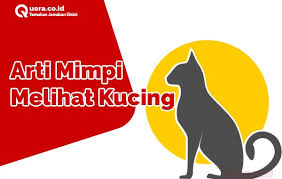 We did not find results for: Arti Mimpi Melihat Kucing Menurut Primbon Dan Penjelasanya Quora