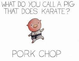 Corny Karate Joke Cute Jokes Punny Jokes Cheesy Jokes