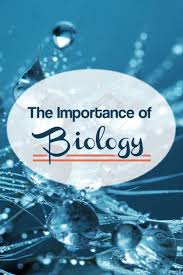 Why Studying Biology Is Important Biology Study Biology Biology Activity