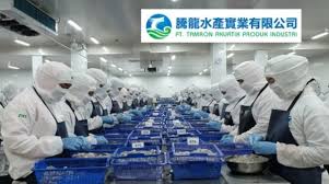 Kami memiliki banyak toko ritel. Lowongan Kerja Operator Produksi Technicial Tch Dan Cute766