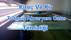 120tl lik sorun 3tl ye nasıl çözülür. Kirec Ve Kirli Akvaryum Cam Temizligi Youtube
