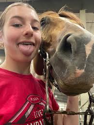 Show Horses by Shannon added a...