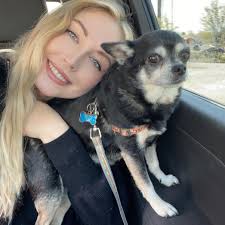 Gluten-free cupcakes and regular cake recommendations?