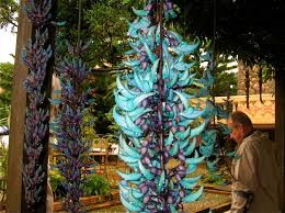 Image result for Strongylodon macrobotrys