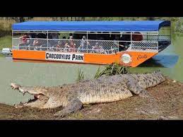 A 2007 australian independent horror film named rogue, about a group of tourist. Giant Saltwater Crocodiles In Australia Youtube