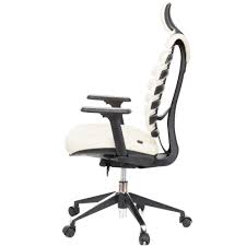 Perna ortopedica cu suport lombar pentru scaun la birou și pentru automobil. Scaun Ergonomic Ergo Line Pro Crem Piele Naturala Tetiera 1d Mecanism Syncron Sezut Culisabil Suport Lombar Brate Reglabile 3d Baza Aluminiu Role Gumate Ergohuman Scaunul Ergonomic Nr 1 In Lume