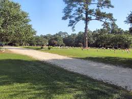 Audrey O'Neil “A.J.” Chavis III (1985-2014)