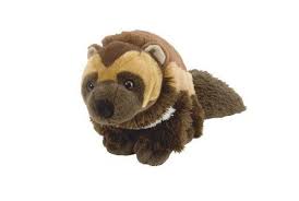 Pin On Cute Toys For Kids