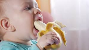 Pisang untuk bayi tentunya berbeda dengan orang dewasa. Manfaat Pisang Untuk Bayi Jenis Dan Resep Yang Bisa Bunda Buat Prenagen