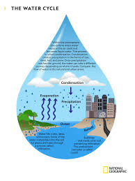 This subcategory of the biogeochemical cycle should also not be. Investigating The Water Cycle National Geographic Society
