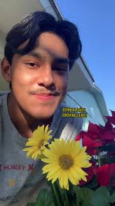 How to Plant Gerbera Daisy Flowers