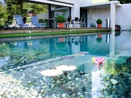 Schwimmteich Selber Bauen 13 Marchenhafte Gestaltungsideen Garten Pooldesign Zenideen Swimming Pond Amazing Swimming Pools Natural Swimming Pools