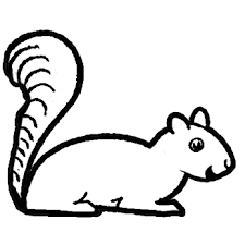Everett peck (born october 9, 1950) is an american illustrator, comics artist, cartoonist and animator. How To Draw Cartoon Squirrels With Simple Step By Step Drawing Lesson How To Draw Step By Step Drawing Tutorials