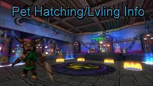 Wizard101 Everything You Need To Know About Pet Lvling Hatching Youtube