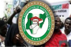 Image captionthe protests have often escalated into violent clashes. Breaking Nans Suspends June 12 Protest Startuppreneur