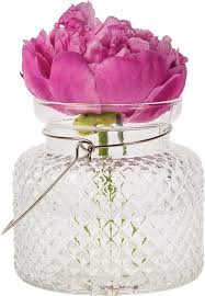 We love how candle holders make any setting special and how they complement our fragrances. Blowout Marion Clear Hanging Mason Jar Candle Holder And Vase