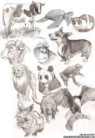 Animal Sketches Animal Sketches Animal Design Illustration Easy Animals