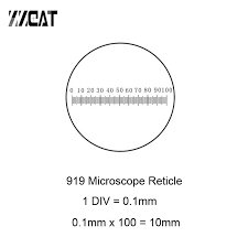 We did not find results for: 919 Microscope Accessory Ruler Mm Scale Ruler For Diameter Measurement Eyepiece Reticle Calibration Slide Microscopes Aliexpress