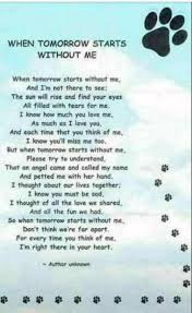 To My Sweet Soul English Setter Valentin Dog Poems Pet Loss Grief Dog Quotes
