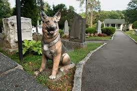 Explore other popular pets near you from over 7 million businesses with over 142 million reviews and opinions from yelpers. The Most Popular Pet Name Of The Century Maybe The New York Times