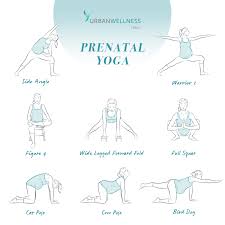 Cat cow yoga pregnancy common observe of yoga strengthens the body and the mind. Prenatal Yoga 8 Poses Every Pregnant Women Should Know Urban Wellness Clinic Blog