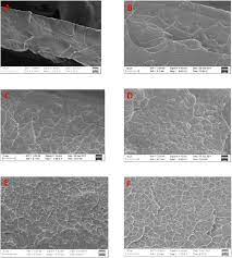 SEM picture of matrimid (A), 5 wt% JUC-62-matrimid (B), 10 wt%... |  Download Scientific Diagram