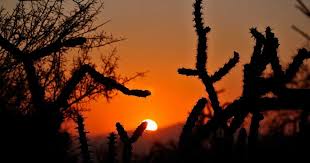 Ces heures sont ensuite utilisées dans le calculateur des temps de passage, afin de déterminer si la course est effectuée de jour ou de nuit. Horaire De Lever Et De Coucher Du Soleil Aux Usa Guide De Voyage Usa Ouest Americain Arizona Dream Voyage Usa Coucher De Soleil Soleil