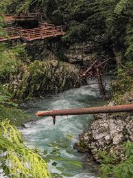 The radovna river cuts the vintgar gorge deep between the hills of hom and boršt. How To Visit Get To Vintgar Gorge Slovenia The Adventures Of Nicole