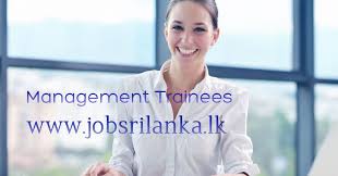 Management Trainees Human Resource Development Soft Skills Democratic Election