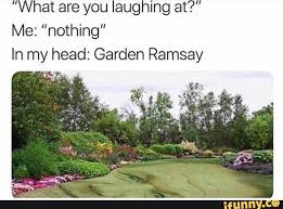 What Are You Laughing At Me Nothing In My Head Garden Ramsay ª Ifunny Stupid Funny Memes Funny Relatable Memes Funny Pictures