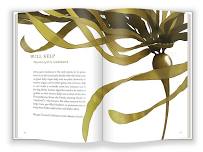 Explore The Mysterious World of Bull Kelp w/ Josie Iselin