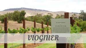 Where does the white wine grape viognier come from? Say Viognier Like A Local Don T Sound Silly How To Pronounce It Right