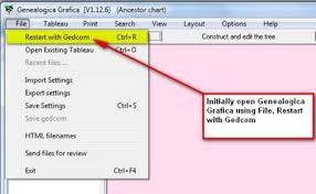 Genealogica Grafica Creating Relationship Charts Tng_wiki