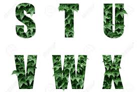 Cl a stock rises friday, still underperforms market. Letters Of The Alphabet S T U V W X Made From Green Leaves Leaf Alphabet Stock Photo Picture And Royalty Free Image Image 131494374