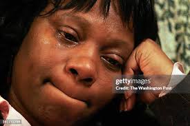 226 fotos e imágenes de alta resolución de Carol Holt